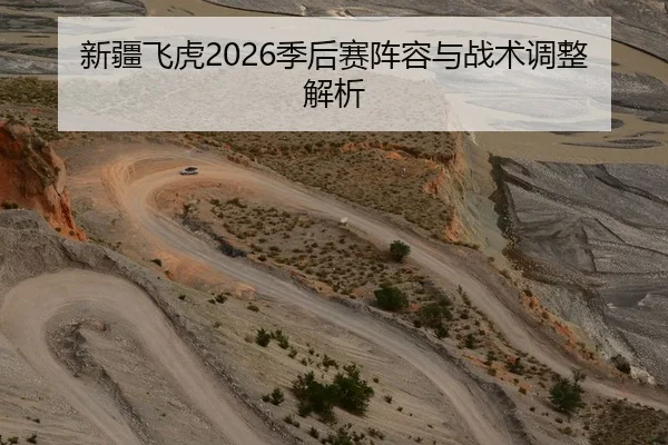 新疆飞虎2026季后赛阵容与战术调整解析