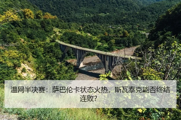 wen-wang-ban-jue-sai-sa-ba-lun-ka-zhuang-tai-huo-re-si-wa-tai-ke-neng-fou-zhong-jie-lian-bai-2-421.jpg